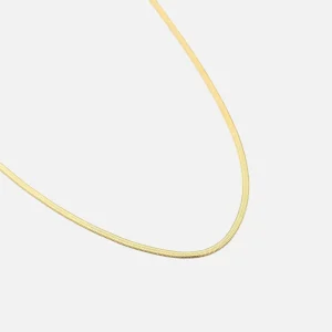 Platte ketting 2mm goud